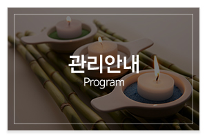 정원스킨바디_메인중간_관리안내